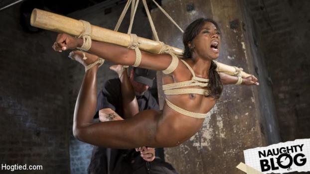 Hog Tied – Ana Foxxx