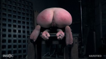 HardTied – Brooke Johnson Brooke Report