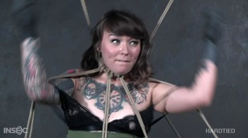 Hard Tied – Felicia Fisher Free Flow