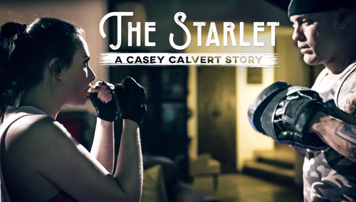 Casey Calvert – The Starlet: A Casey Calvert Story