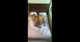 Lena Paul – Onlyfans 212230915